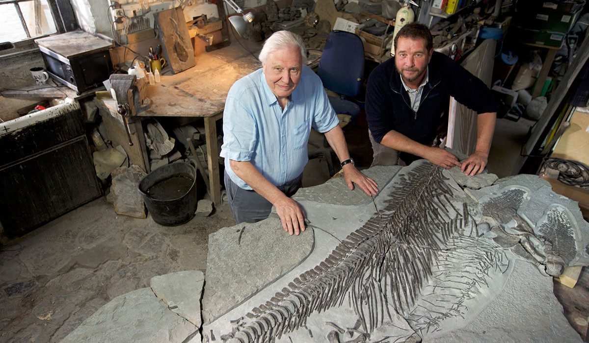 David Attenborough and Sea Dragon
