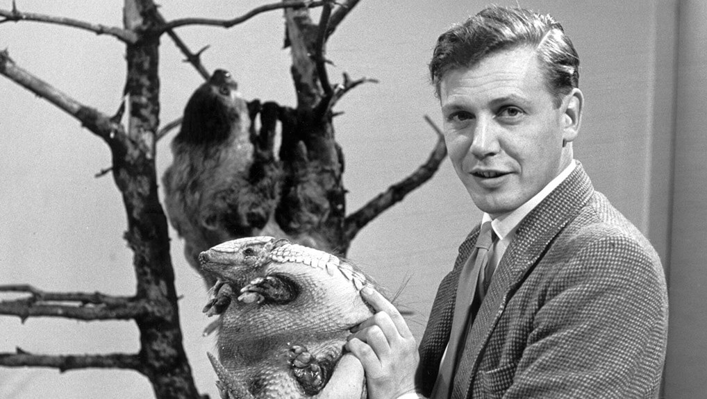 Attenborough at 90