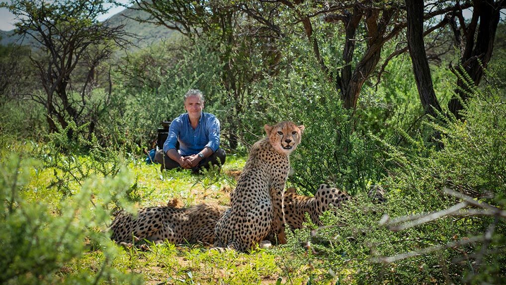 Cheetah Family and Me